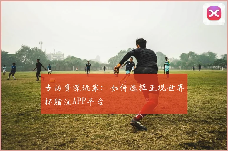 专访资深玩家：如何选择正规世界杯赌注APP平台