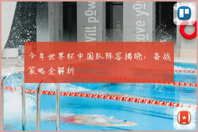 今年世界杯中国队阵容揭晓，备战策略全解析
