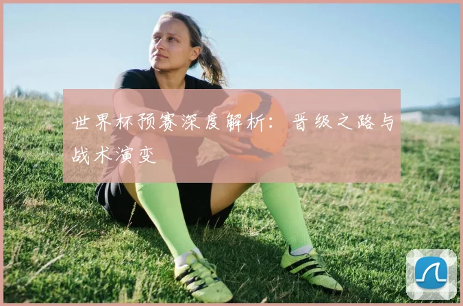 世界杯预赛深度解析:晋级之路与战术演变