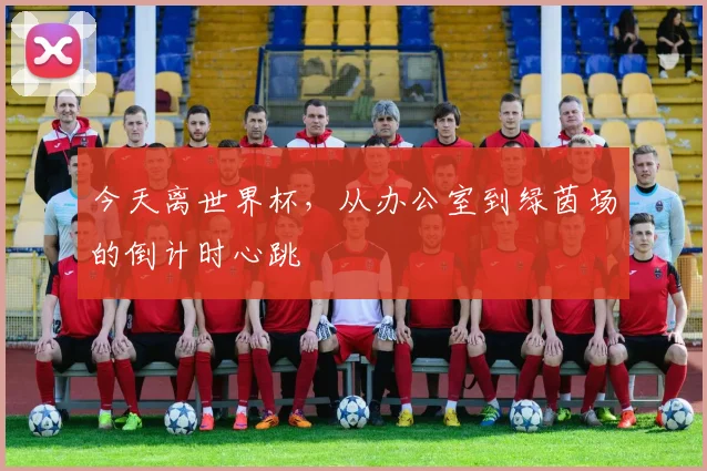 今天离世界杯,从办公室到绿茵场的倒计时心跳