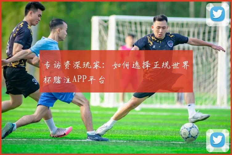专访资深玩家:如何选择正规世界杯赌注APP平台
