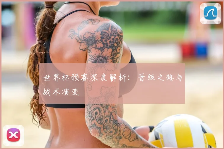 世界杯预赛深度解析:晋级之路与战术演变